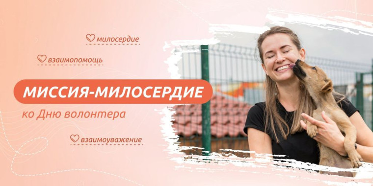 Миссия - милосердие. Ко Дню волонтёра.